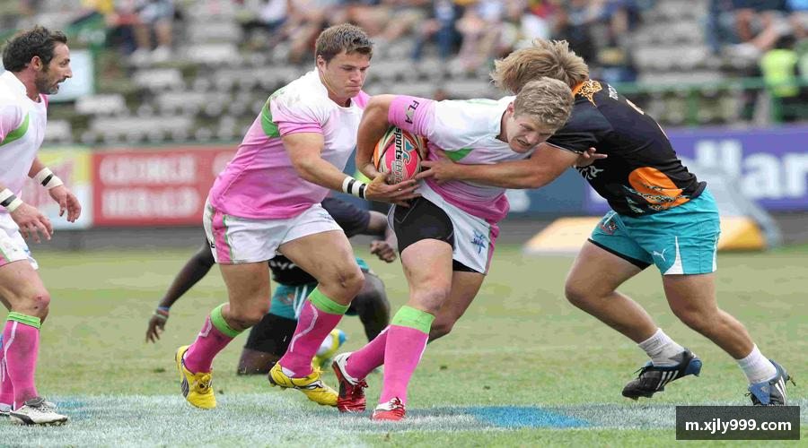 概览雷竞技官网